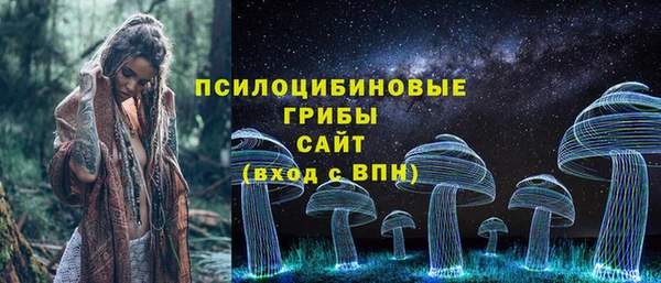 бошки Абинск
