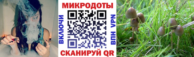 наркотики  Луга  KRAKEN рабочий сайт  Галлюциногенные грибы MAGIC MUSHROOMS 
